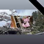 Rose Tsai - Facebook
