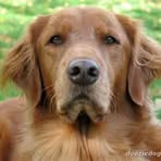Carol Rose Van Buskirk - Facebook