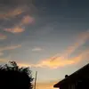 rosévidal - @rosevidal1313 - TikTok