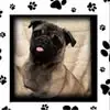 rosewaldron0 - @rose.waldron8 - TikTok