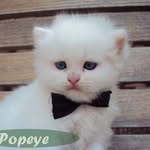 savanna rose waldron - @savanna3546382933 - Instagram