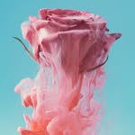 Autumn Rose Wallenmeyer - @autumnrosewallenmeyer - Instagram