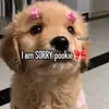 Crystalrose Wallentine - @crystalrose.wallen - TikTok