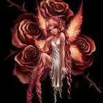 Rose Marie Wallen - @wallenrose - Instagram