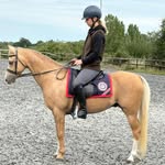 Rose waller’s show ponies 🇬🇧 - @rosewallersshowponies - Instagram