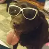 Rose Wayne - @rosewayne583 - TikTok