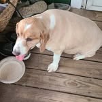 Rose Whitehead - @rose.whitehead.946 - Instagram