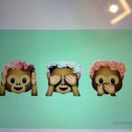 Lily Rose Whiting - @lils_rose17 - Instagram