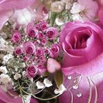Marie Rose Wicker - @marierosemetz57 - Instagram
