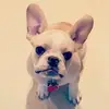 Rose Wicker - @rosewicker04 - TikTok