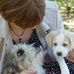 Rose Wiles - Facebook
