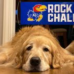 Rose Wiles - @thedailyrosekc - Instagram