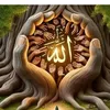 Roseبسام Wilesالغانمي - @rose.wiles - TikTok