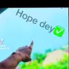 Rose wilkinson - @rose.wilkinson0 - TikTok