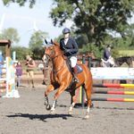 Rose Wilkinson - @yorkshireroseequestrian - Instagram