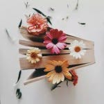 Rose wind - @rose._wind - Instagram