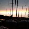 💜Rose winter💜 - @rose.winter - TikTok