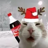 il fait froid - @rose.winters97 - TikTok