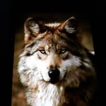 Roseli Fatima Witkowski - @witkowskiroselidefatima - Instagram
