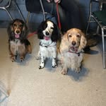 Rosemary Wittering - @rosewittering - Instagram