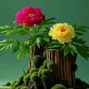 Rose yu - @rose.yu52 - TikTok