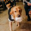 Holly Rose Ziegler - @otisjaythegolden - TikTok