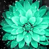 RoseAnn Collinsworth - @roseanncollinswor - TikTok