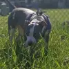 roseannacollins - @roseannacollins - TikTok
