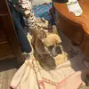 Roseanne Ramirez - @cookingwithroseanne - TikTok