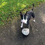 Rose Ann Davidson - @roseanndavidson1 - Instagram