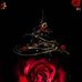 Roseann Davidson - Facebook