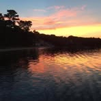 Roseanne Davidson - Facebook