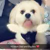 Roseann Ellis - @roseann.ellis7 - TikTok