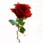 Rose - @roseannafox - TikTok