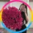 roseanneharrisonx - @roseanneharrisonx - TikTok