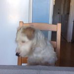 Roseanne Hill - @diva459 - Instagram
