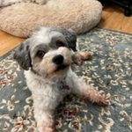 Roseann Lynch - @lynch.roseann - Instagram