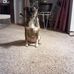 Roseanne May - Facebook