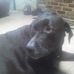 Roseanne Cox - Facebook