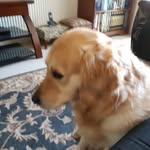 Roseanne Griffiths - @griffithsroseanne - Instagram