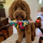 Rosanne Perry Lewis - @rosanne511 - Instagram