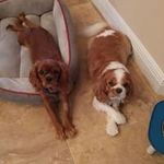 Roseanne Scott - @roseanne.scott.7 - Instagram