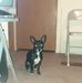 Rosebud Simmons - Facebook