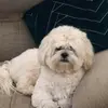 Rosella Johnson - @rosella.johnson8 - TikTok