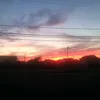 Rose Sullivan - @rose.sullivan - TikTok