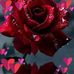 Roselle Williams - Facebook