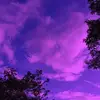 Roselyn Jackson - @roselyn.jackson7 - TikTok