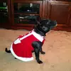 roselynjackson2 - @roselynjackson2 - TikTok