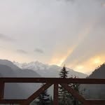 Roselyn - @roselynwalton534749 - Instagram
