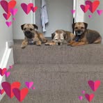 Rosemarie Baker - Facebook